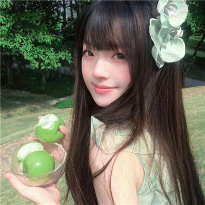吉娃娃